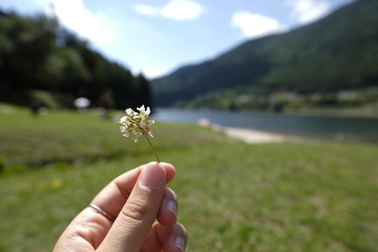 B&B Relais Dolomiti Bedollo Kültér fotó