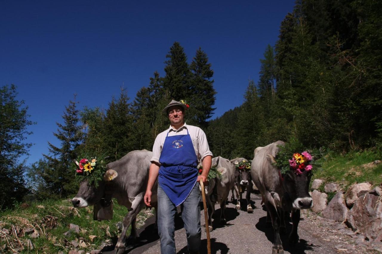 B&B Relais Dolomiti Bedollo Kültér fotó